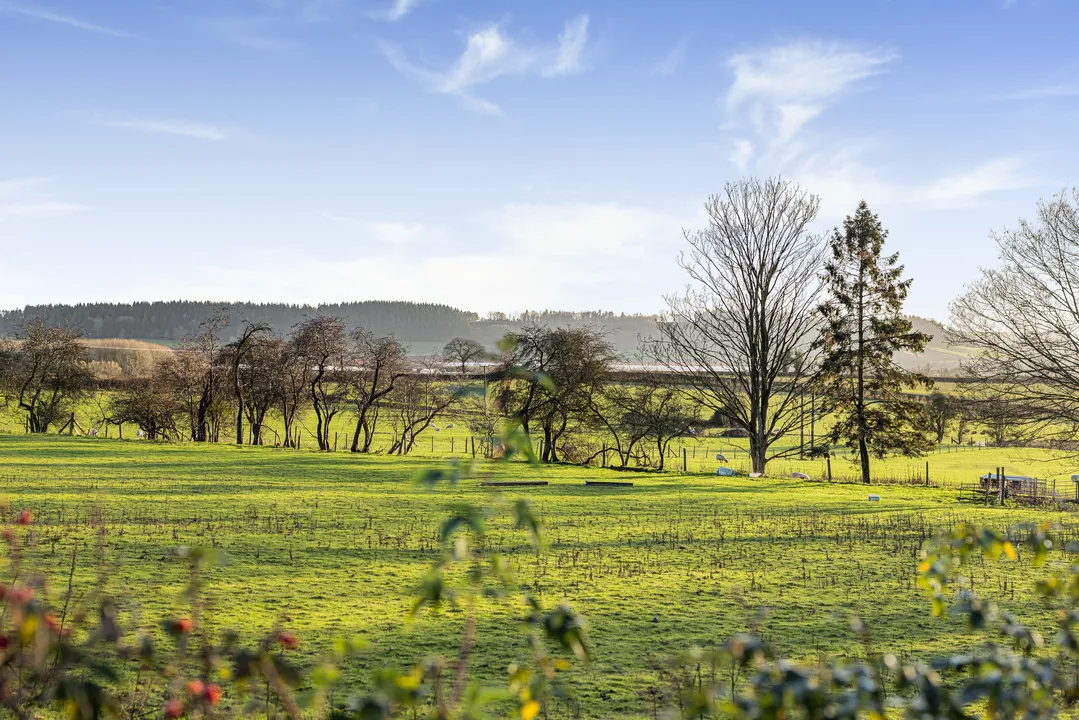 Grove House, Ryelands, Leominster, Herefordshire, HR6 8QB, photo 23