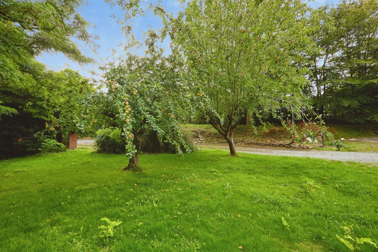 Bradford Lane, Longburton, DT9, photo 5