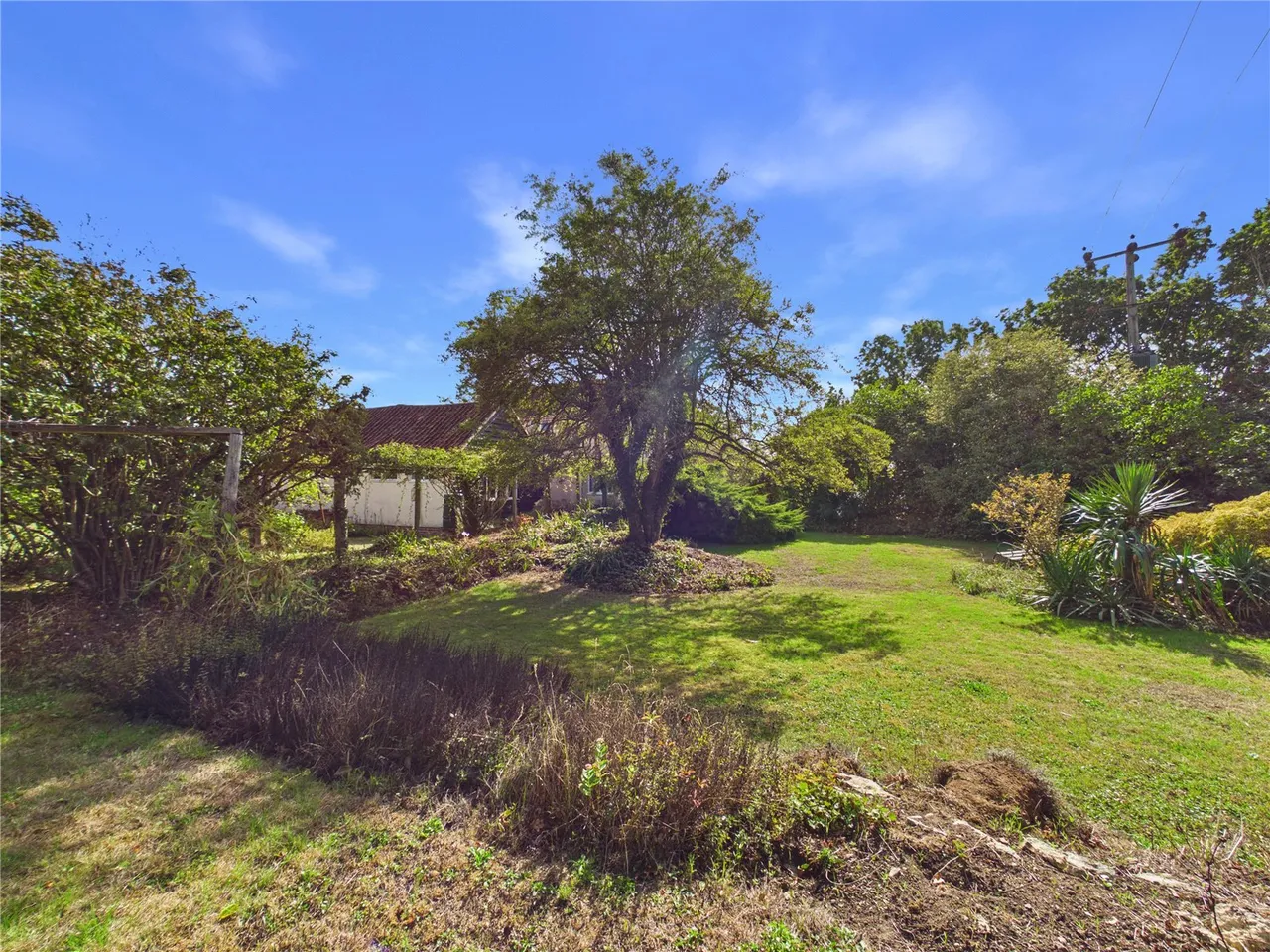 Daisy Green, Lexden Heath, CO3, photo 19