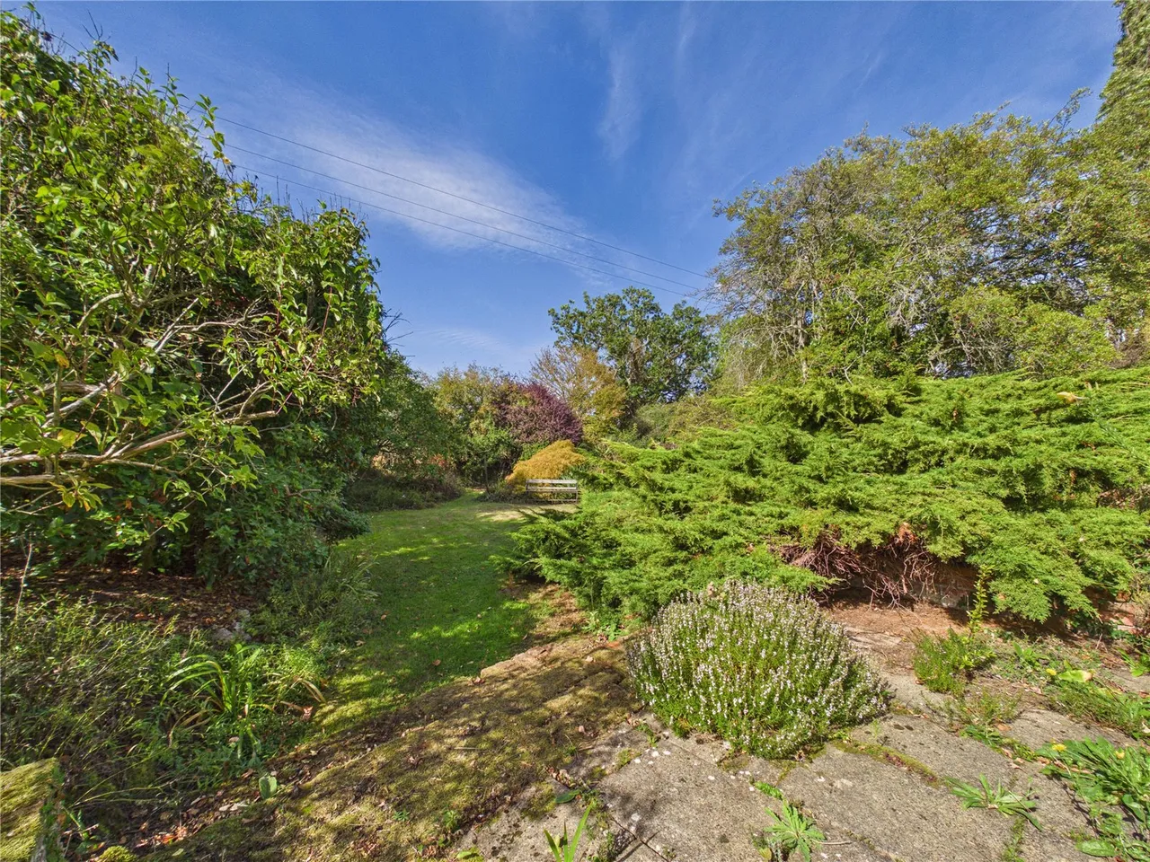 Daisy Green, Lexden Heath, CO3, photo 17