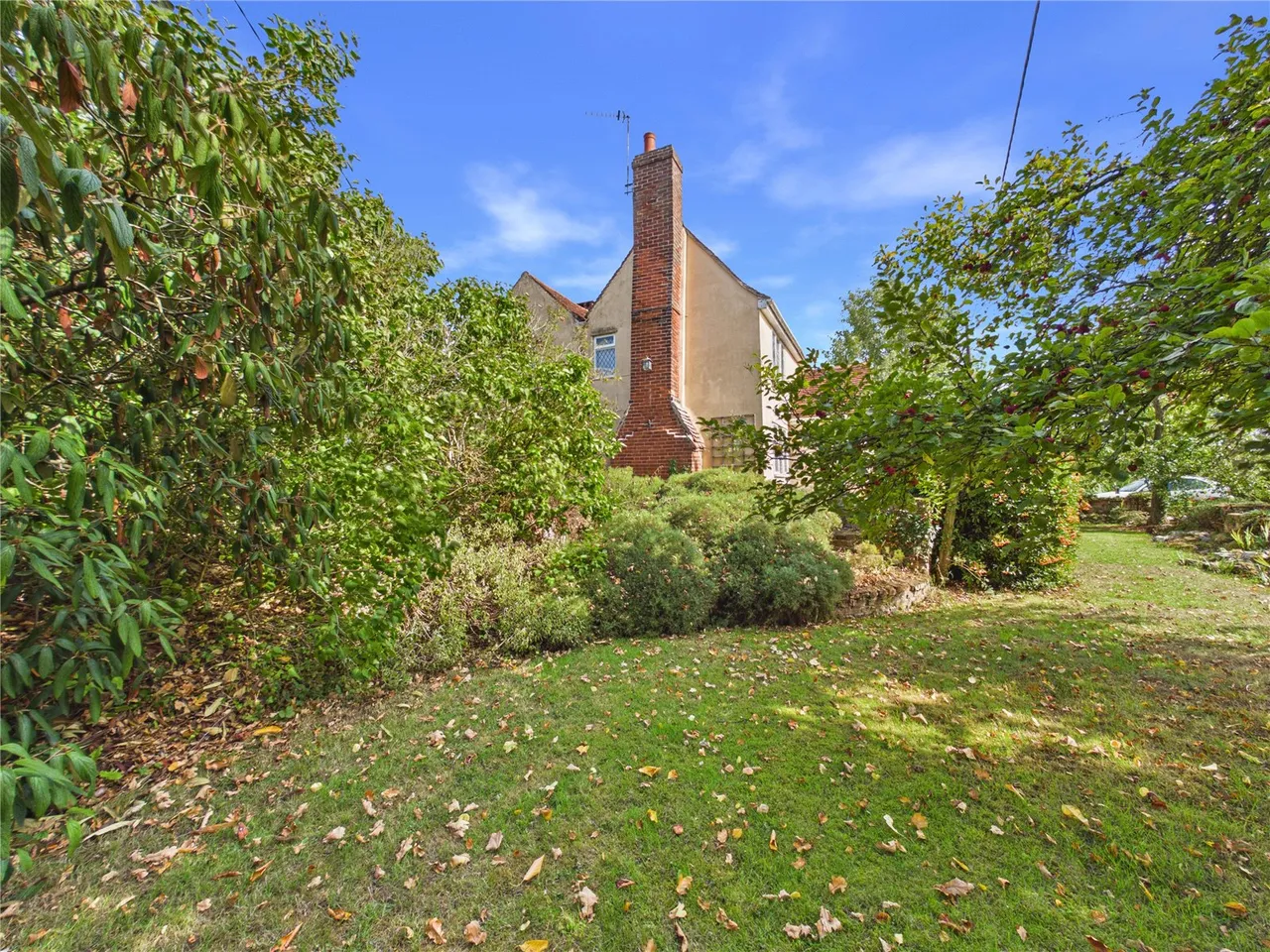 Daisy Green, Lexden Heath, CO3, photo 16