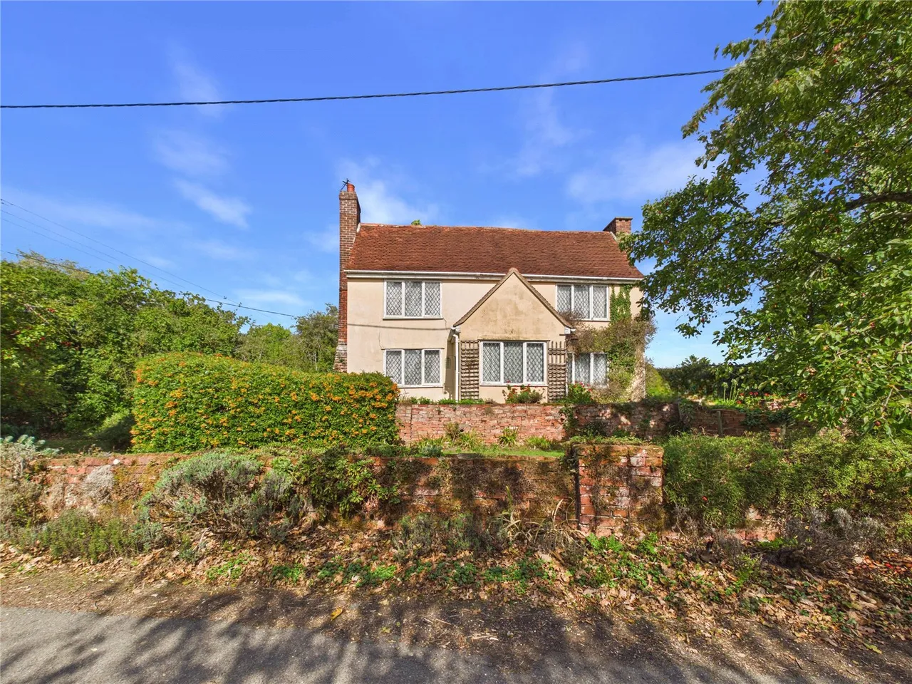 Daisy Green, Lexden Heath, CO3, photo 20