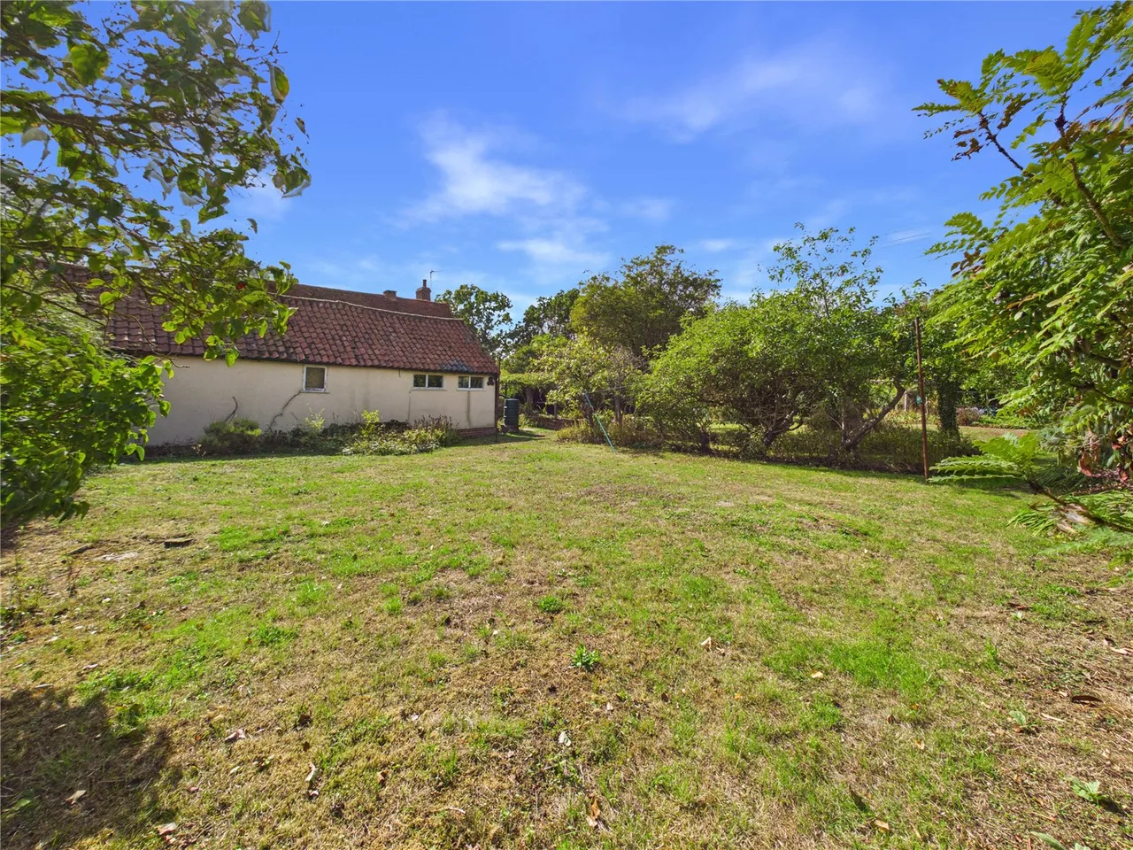 Daisy Green, Lexden Heath, CO3, photo 4