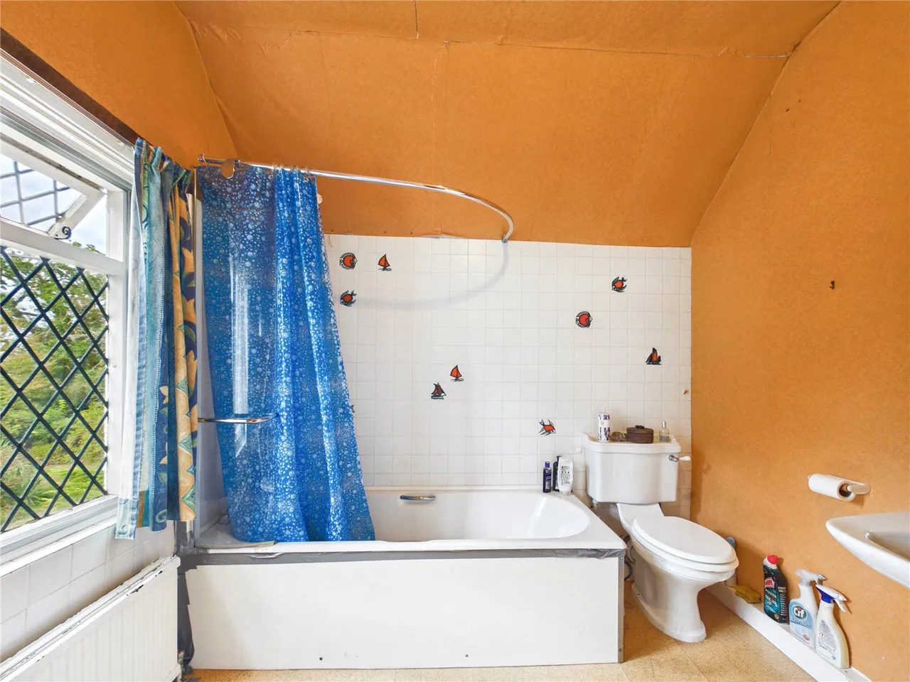 Daisy Green, Lexden Heath, CO3, photo 15