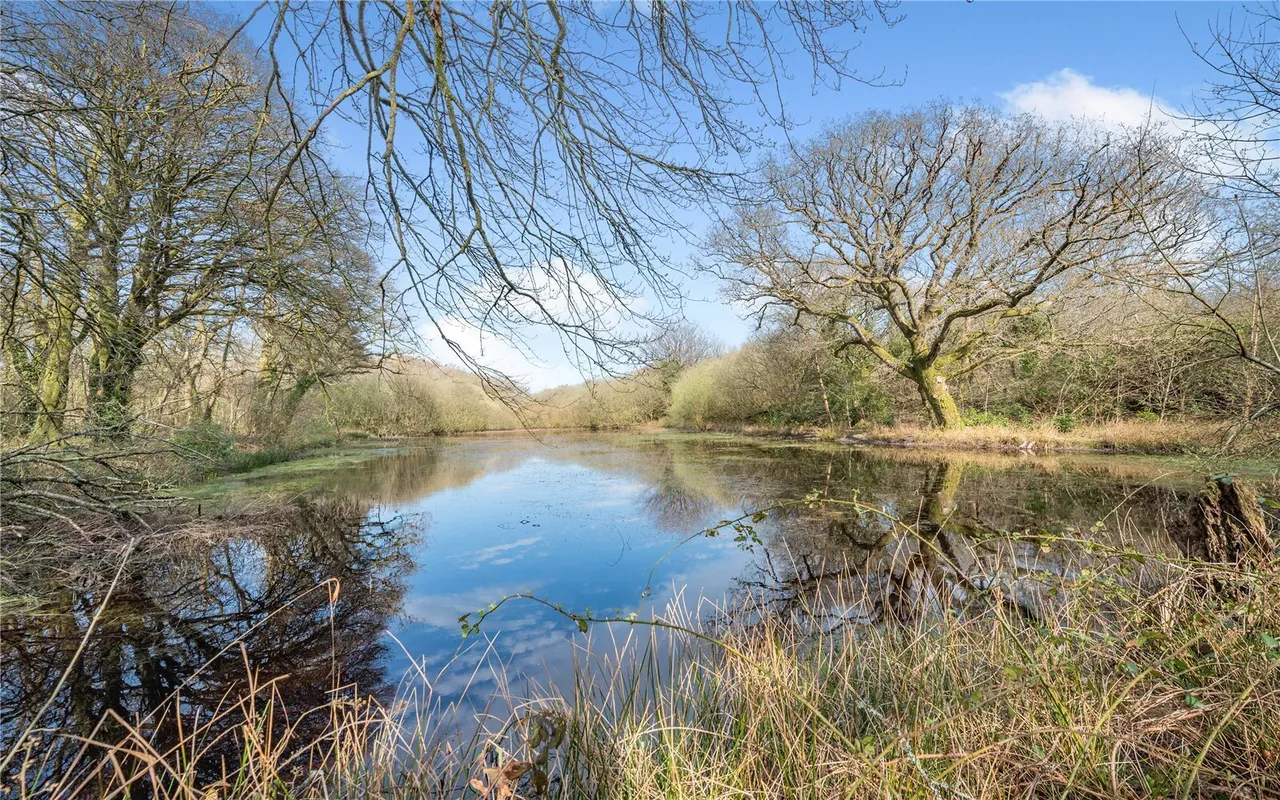 Letterston, Haverfordwest, SA62, photo 10