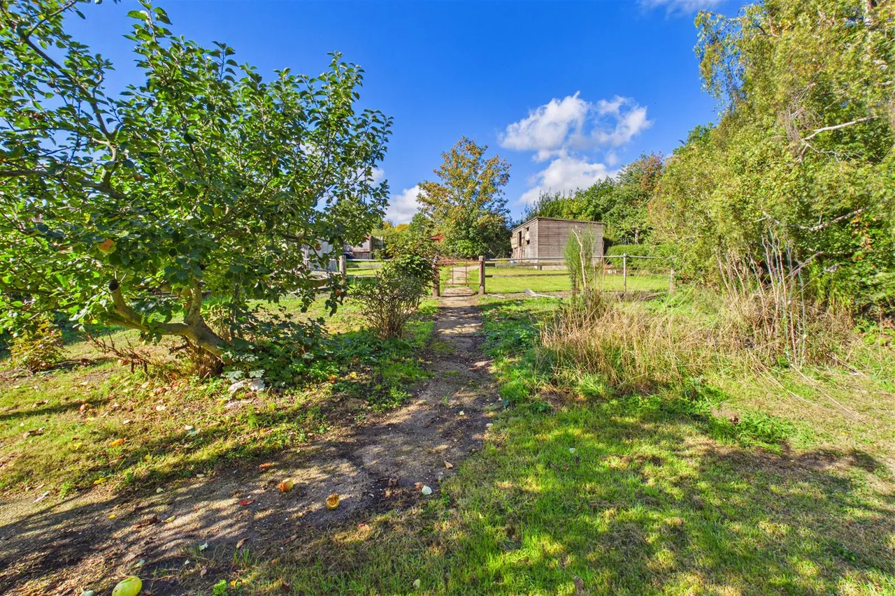The Street, Bramfield, IP19, photo 19