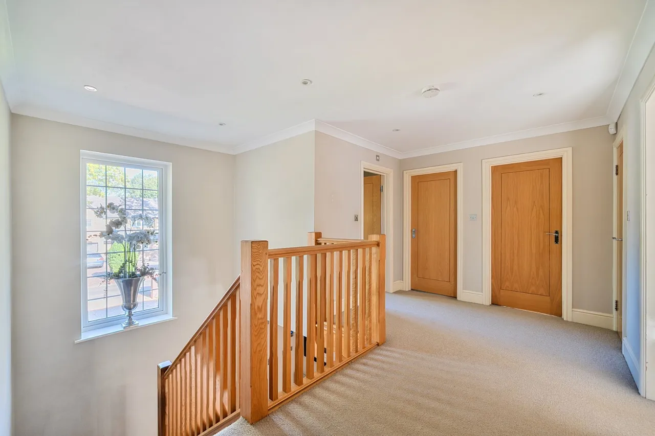 Pyrford Woods, Pyrford, GU22, photo 16