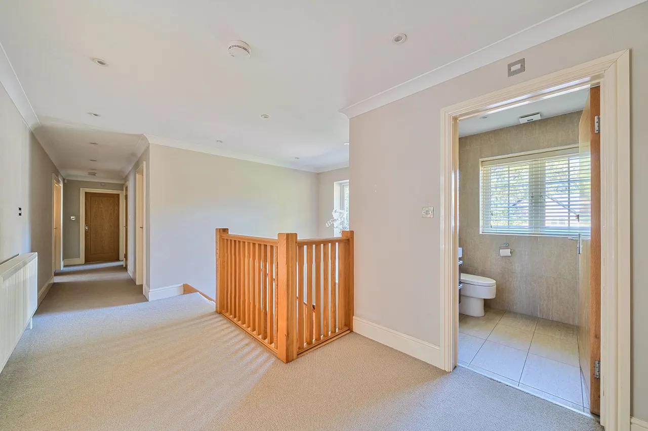 Pyrford Woods, Pyrford, GU22, photo 17