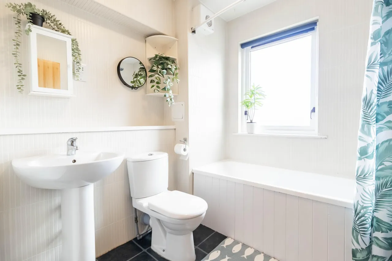 Sharpe Place, Montrose, DD10, photo 10