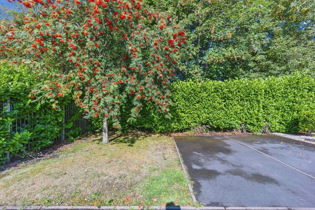 Lodge View, Droylsden, Manchester, Greater Manchester, M43, photo 17