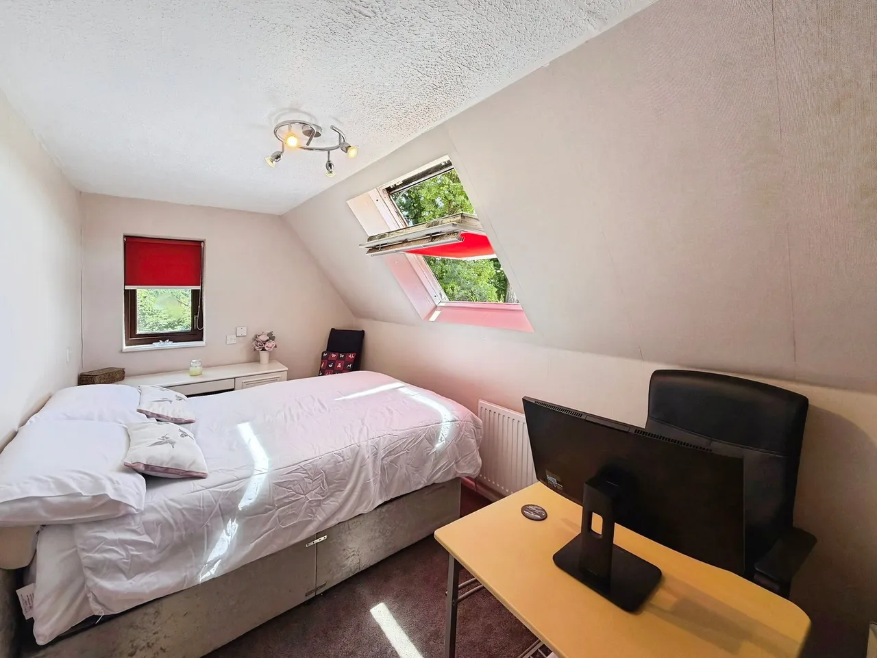 Kingrosia Park, Clydach, SA6, photo 20
