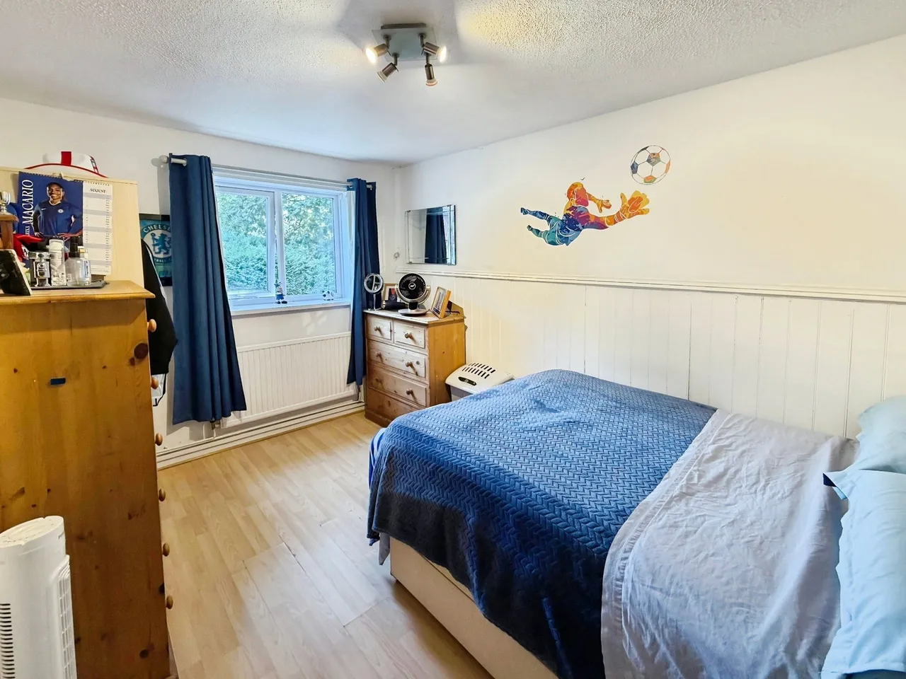 Kingrosia Park, Clydach, SA6, photo 11