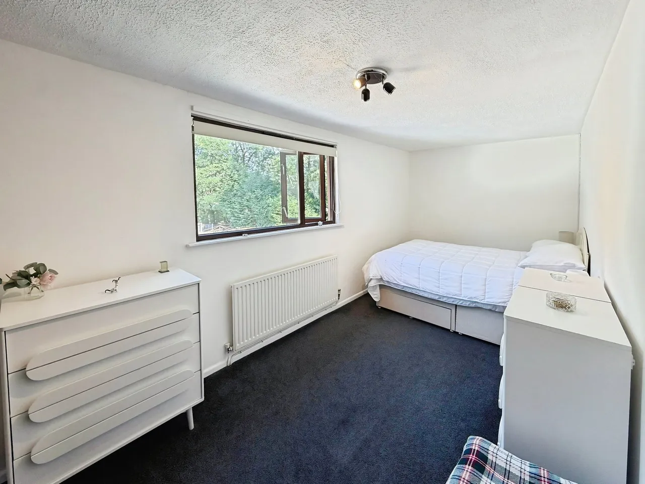 Kingrosia Park, Clydach, SA6, photo 17