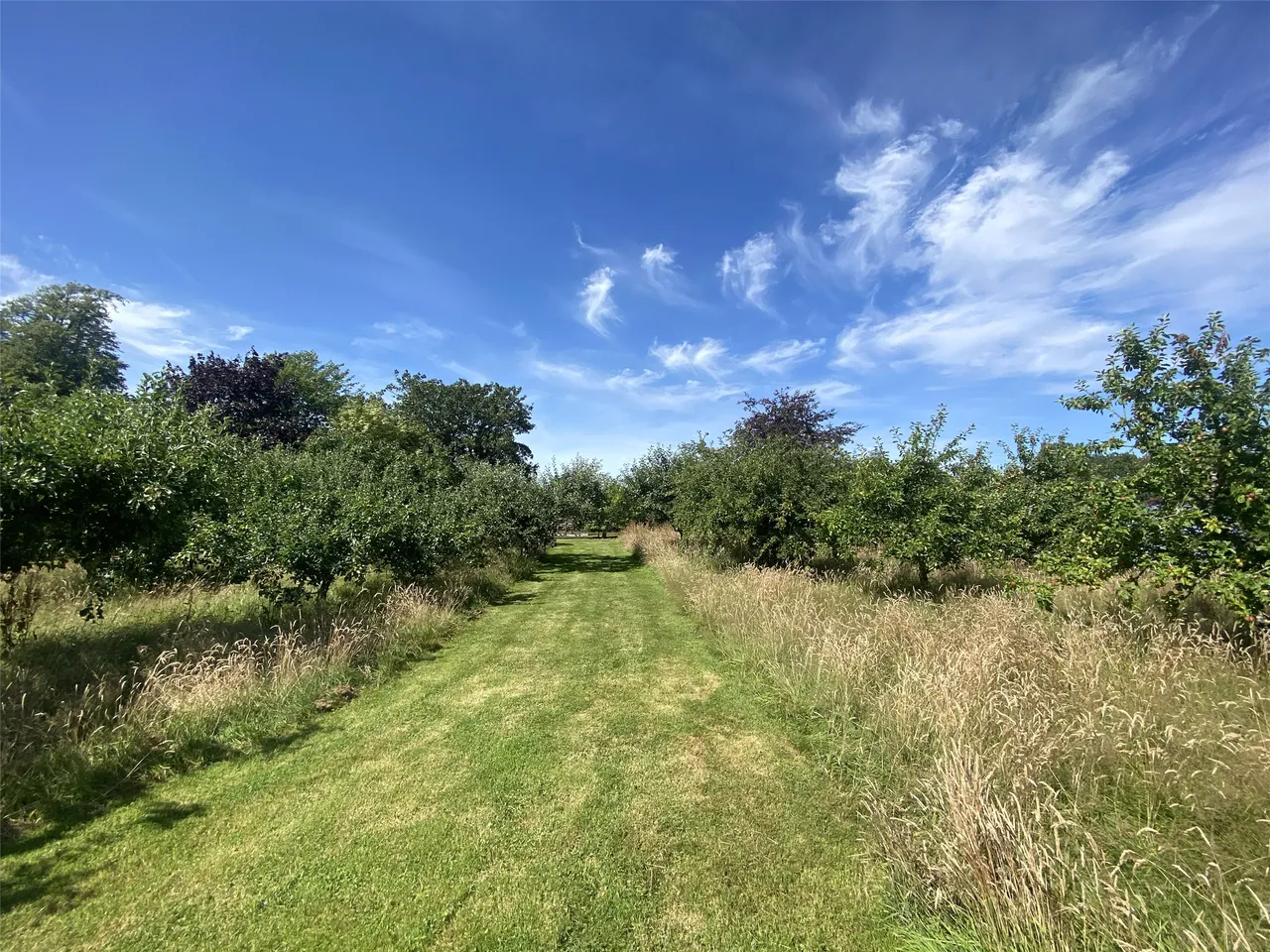 Whiteley Farm, Lifton, PL16, photo 19