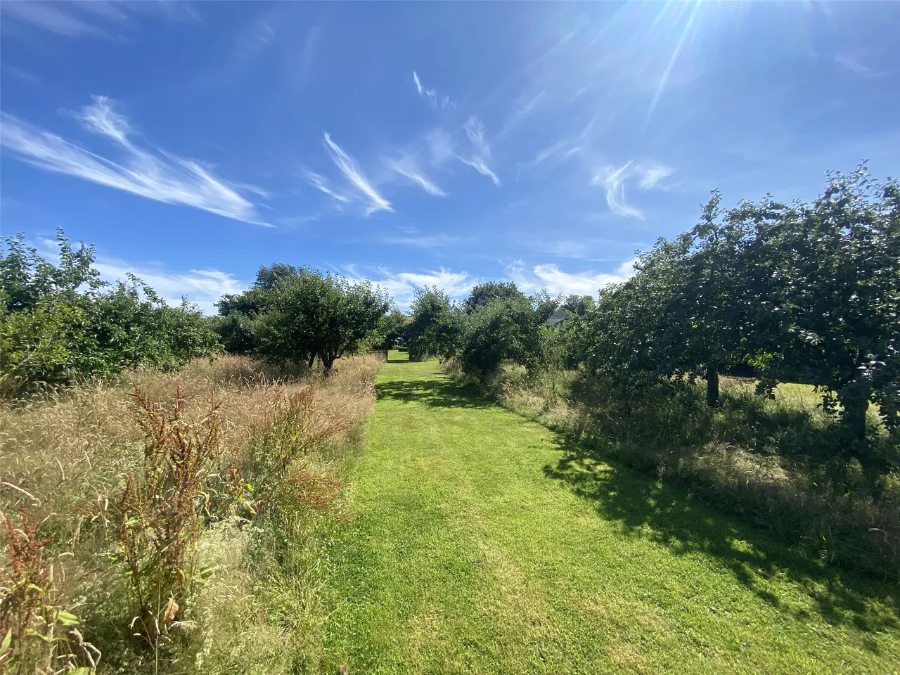 Whiteley Farm, Lifton, PL16, photo 20
