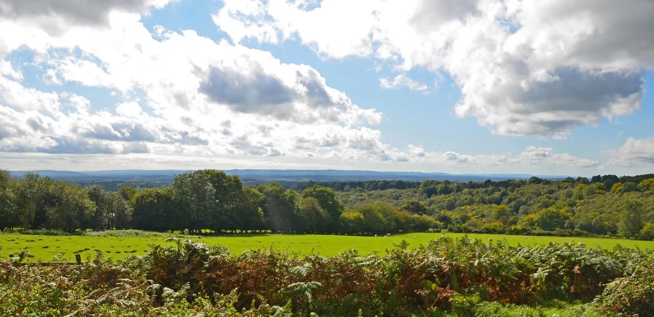 New Road, Duddleswell, TN22, photo 2