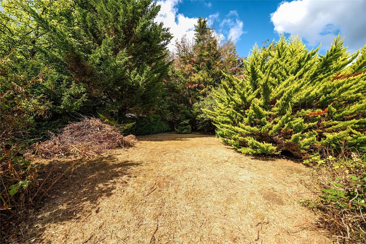 Sunnydale, Farnborough Park, BR6, photo 24