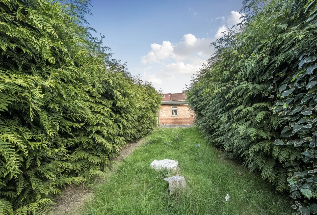 Holden Avenue, London, NW9 8HR, photo 7