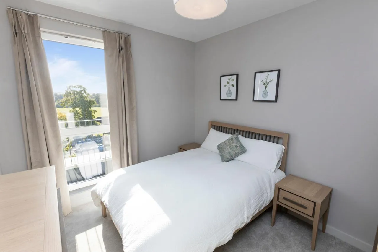 Newtownbreda Road, Belfast, BT8, photo 13