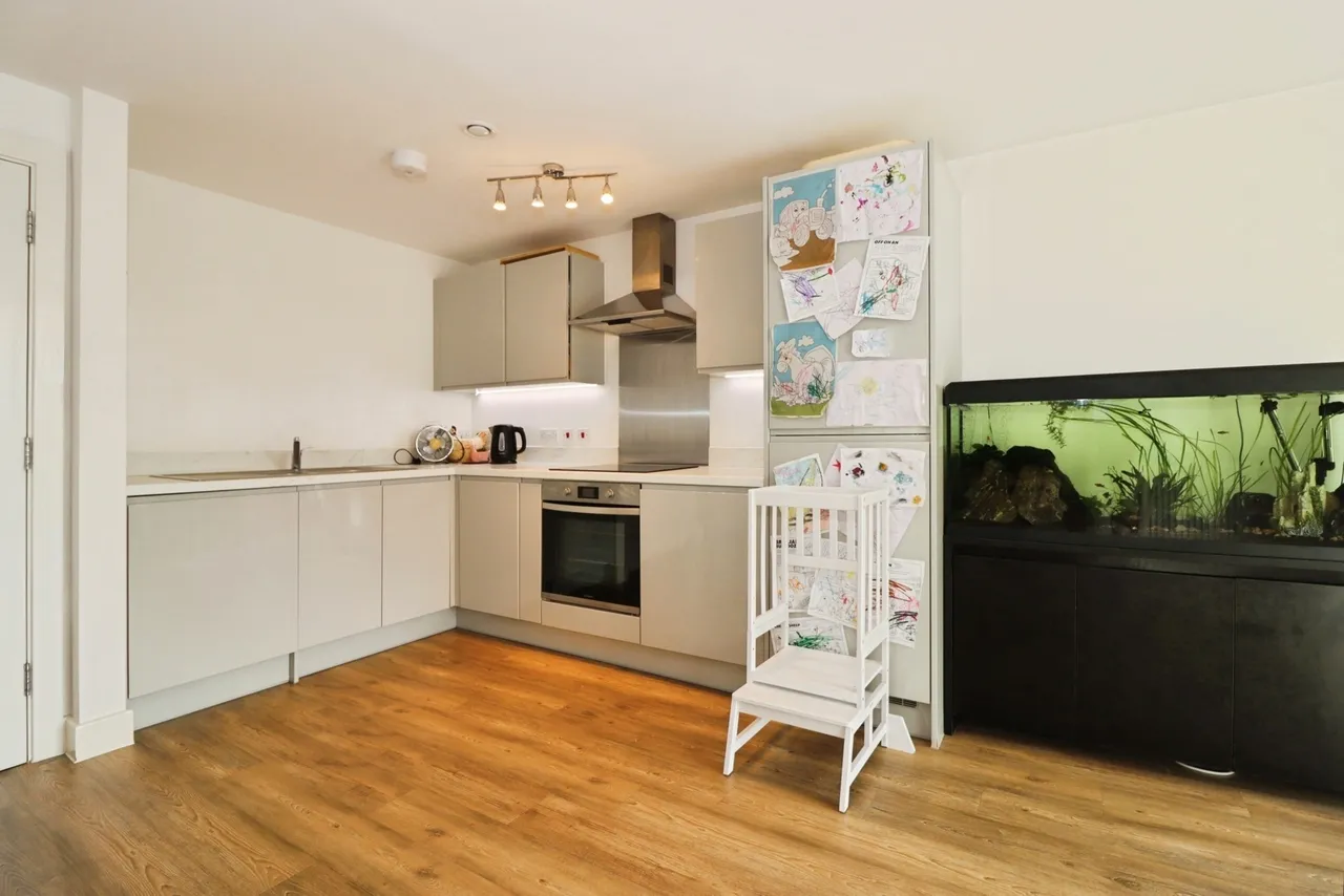 Captains Garden, Fishponds, Bristol, BS16, photo 4