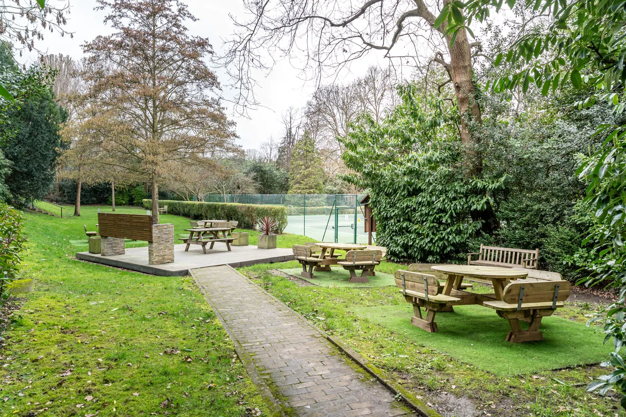 Putney Heath, London, SW15, photo 17