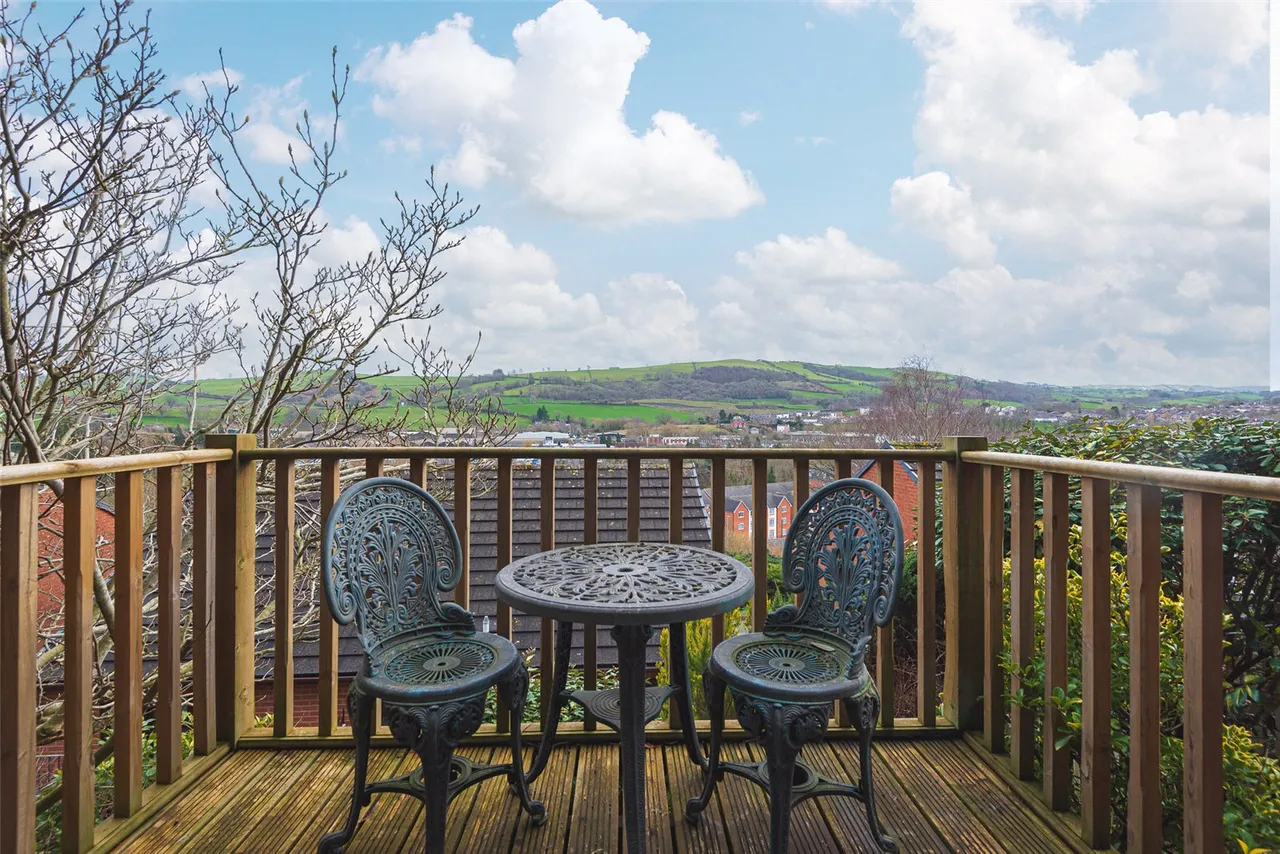 Hillside Avenue, Newtown, Powys, SY16 2PS, photo 10