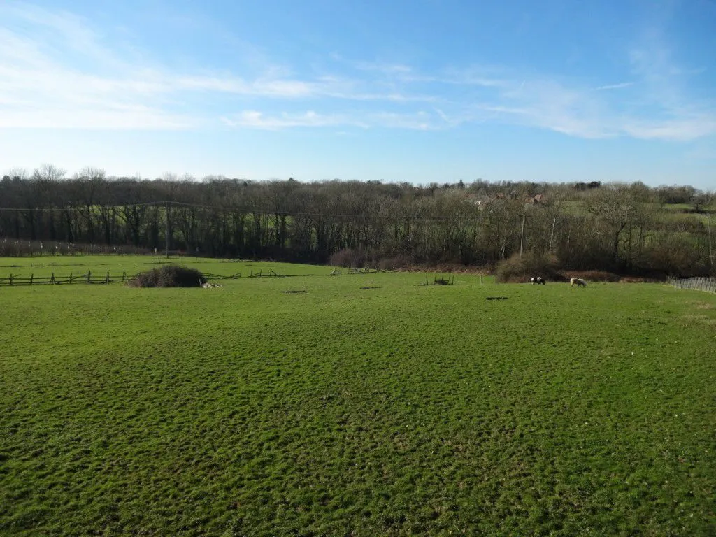 land/woodland for sale, Land West of Freight Lane, Cranbrook, TN17