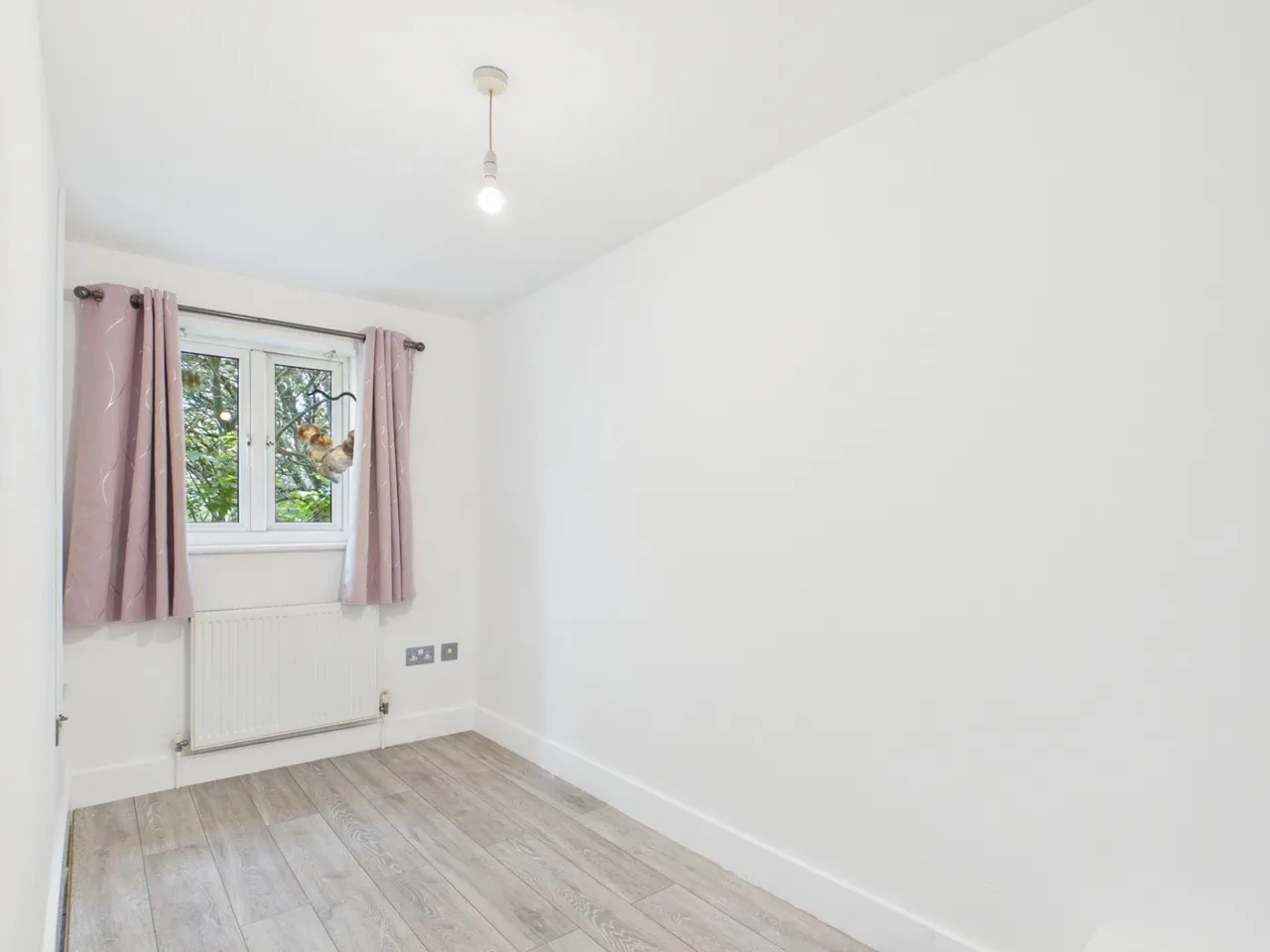 Waterworks Road, Farlington, PO6, photo 4