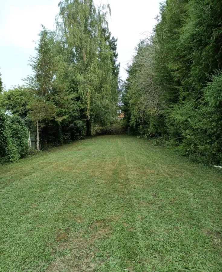 Philip Road, High Wycombe, HP13, photo 9