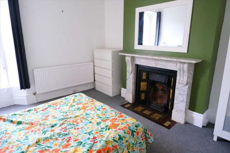 North Road East, Plymouth, PL4, photo 9