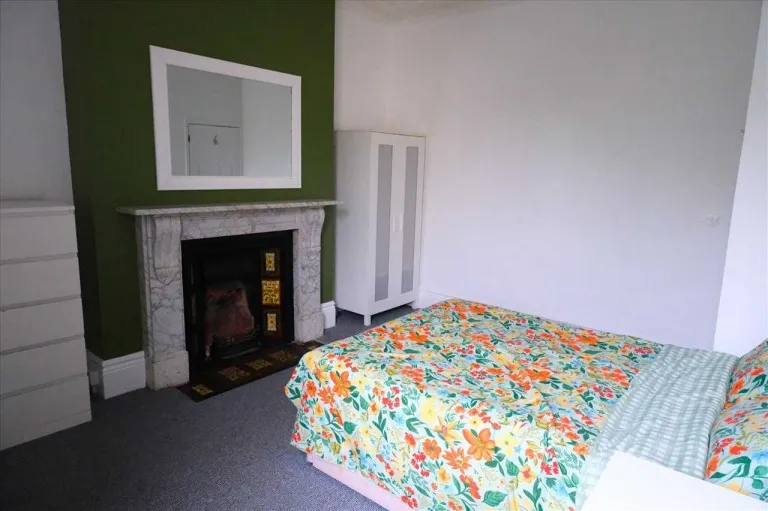 North Road East, Plymouth, PL4, photo 8