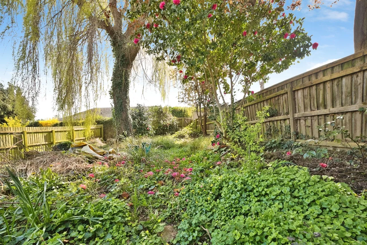 Yew Tree Close, Yeovil, BA20, photo 16