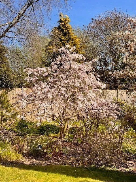 Greenhaugh Way, Braco, FK15, photo 28