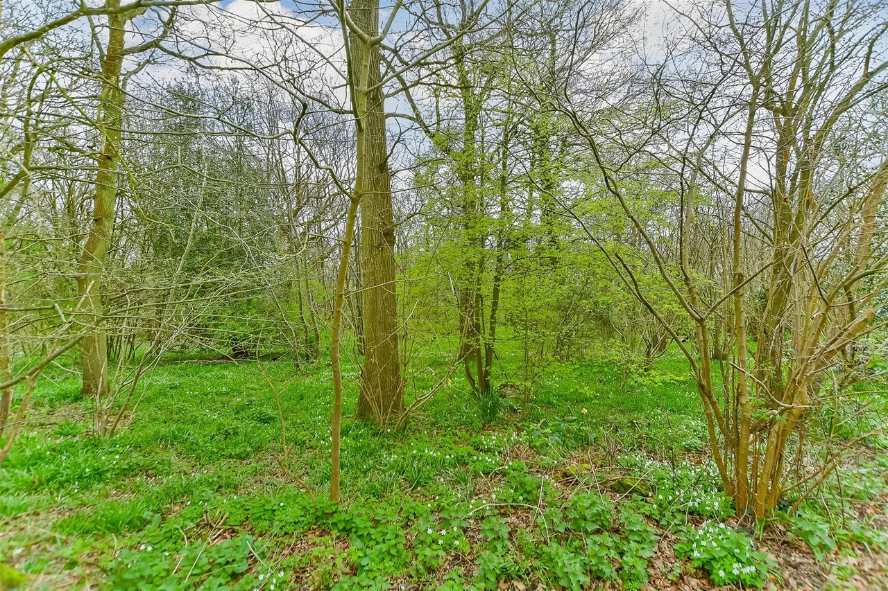 Shalloak Road, Broad Oak, CT2, photo 8