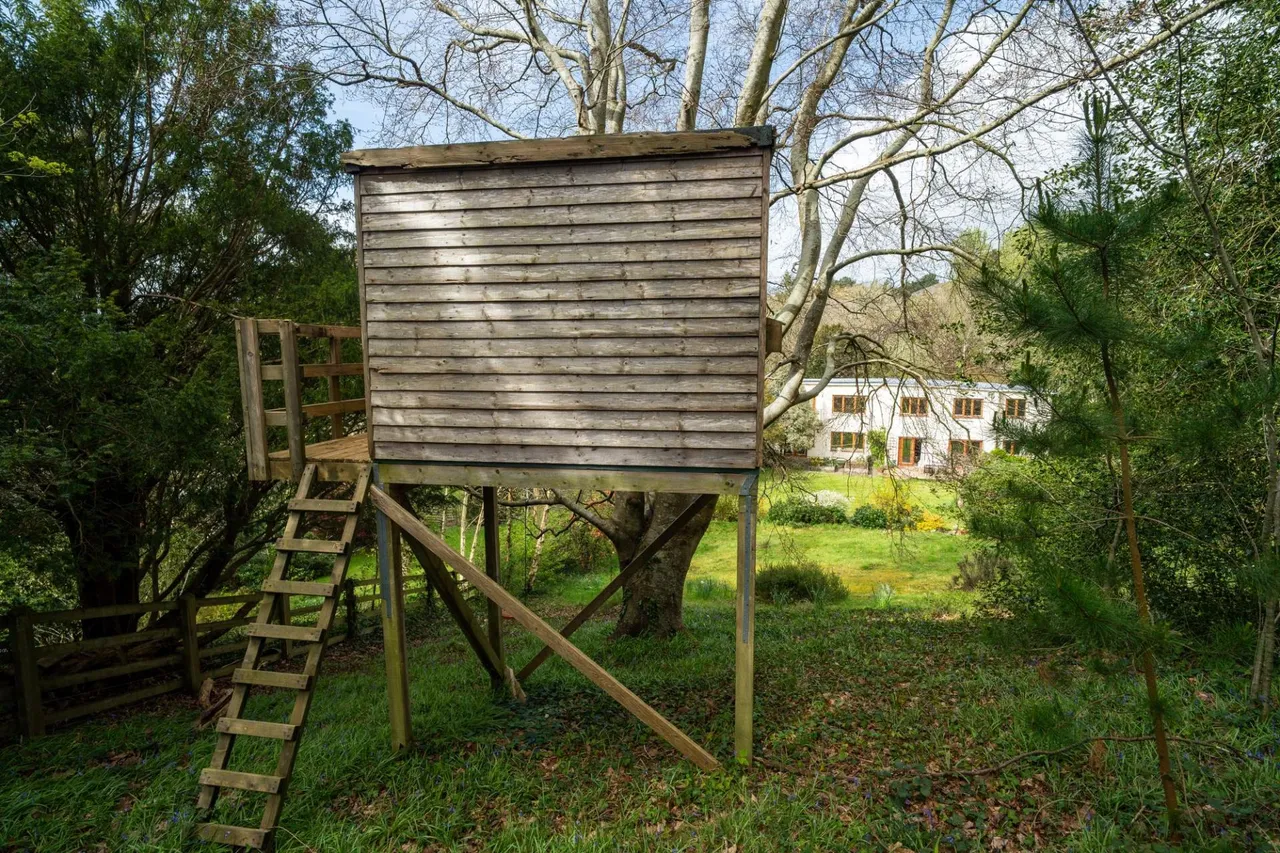 Penygraig, Llanbadarn Fawr, SY23, photo 33