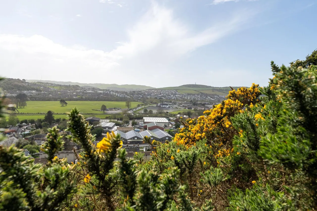 Penygraig, Llanbadarn Fawr, SY23, photo 36