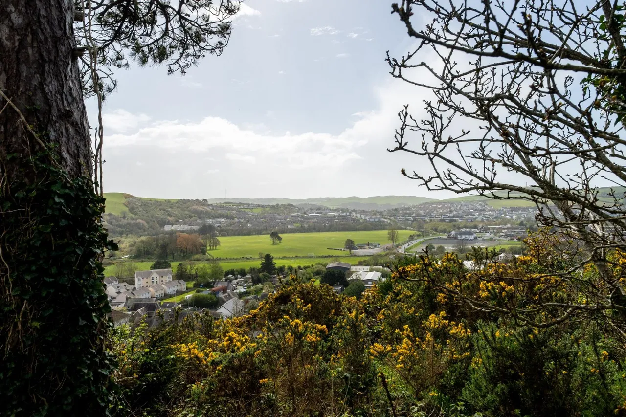 Penygraig, Llanbadarn Fawr, SY23, photo 5