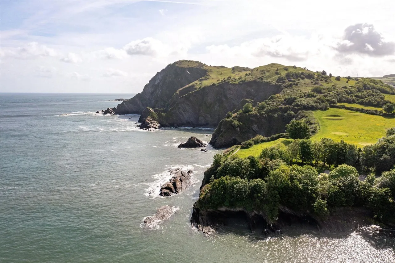 The Quay, Ilfracombe, photo 27