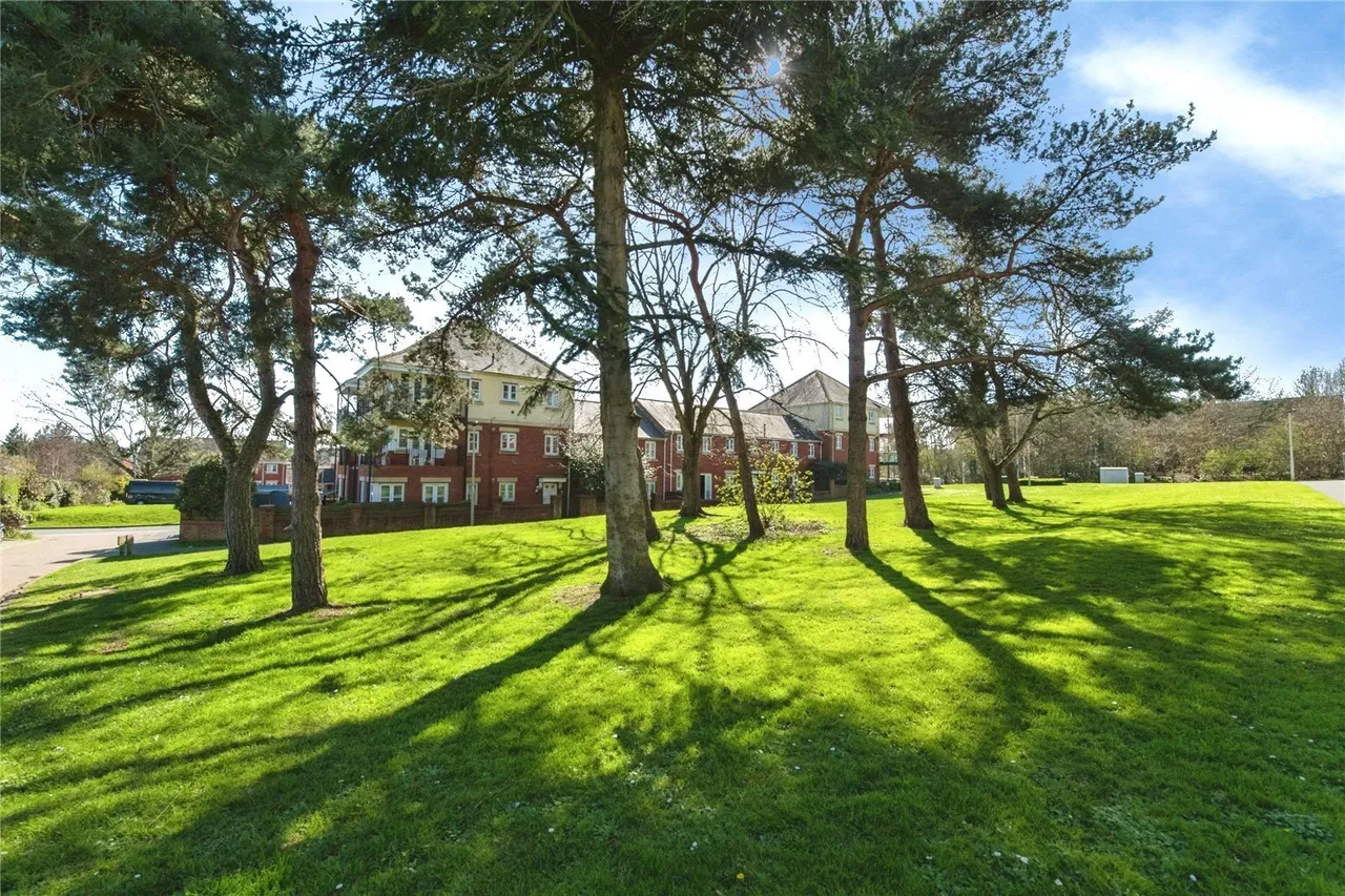 Russell Walk, Exeter, EX2, photo 14