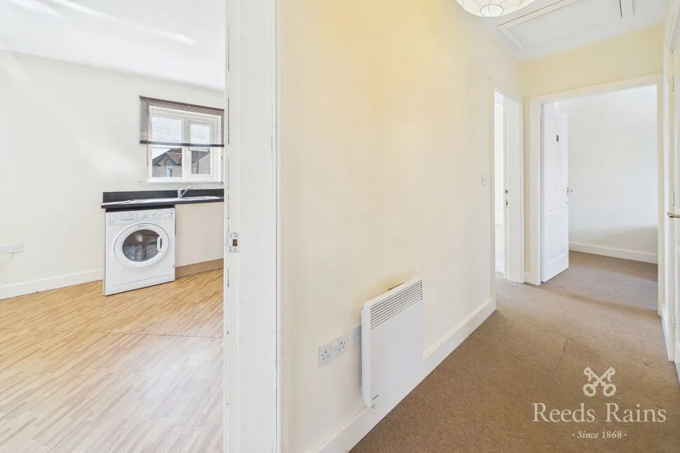 Raynald Road, Sheffield, S2, photo 8
