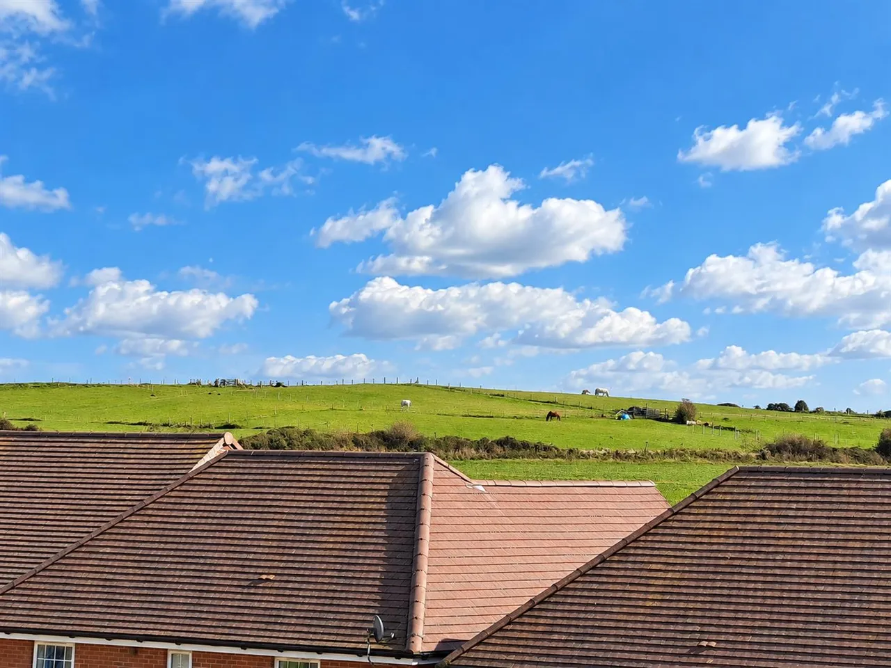 Skylark Avenue, Peacehaven, photo 6