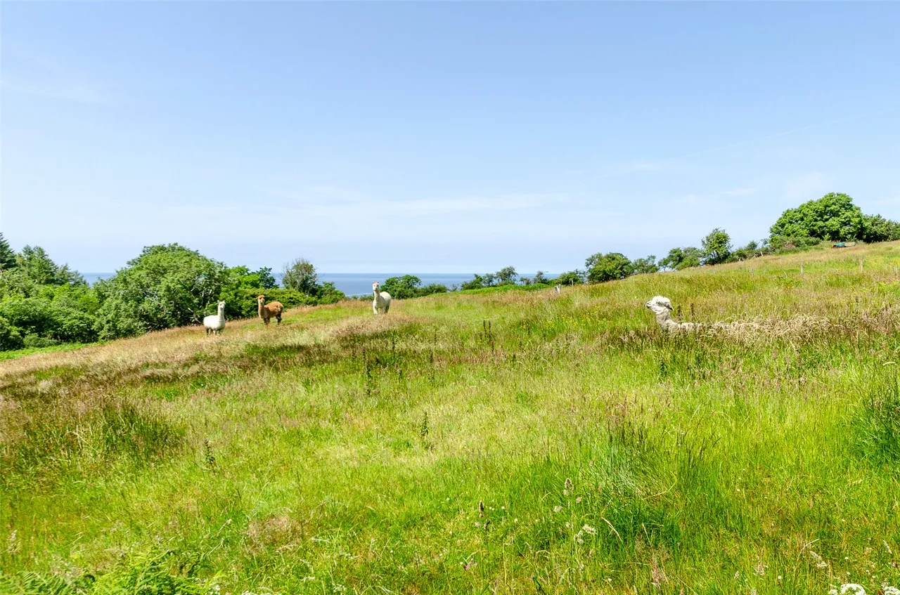 Gyrn Goch, Caernarfon, LL54, photo 59