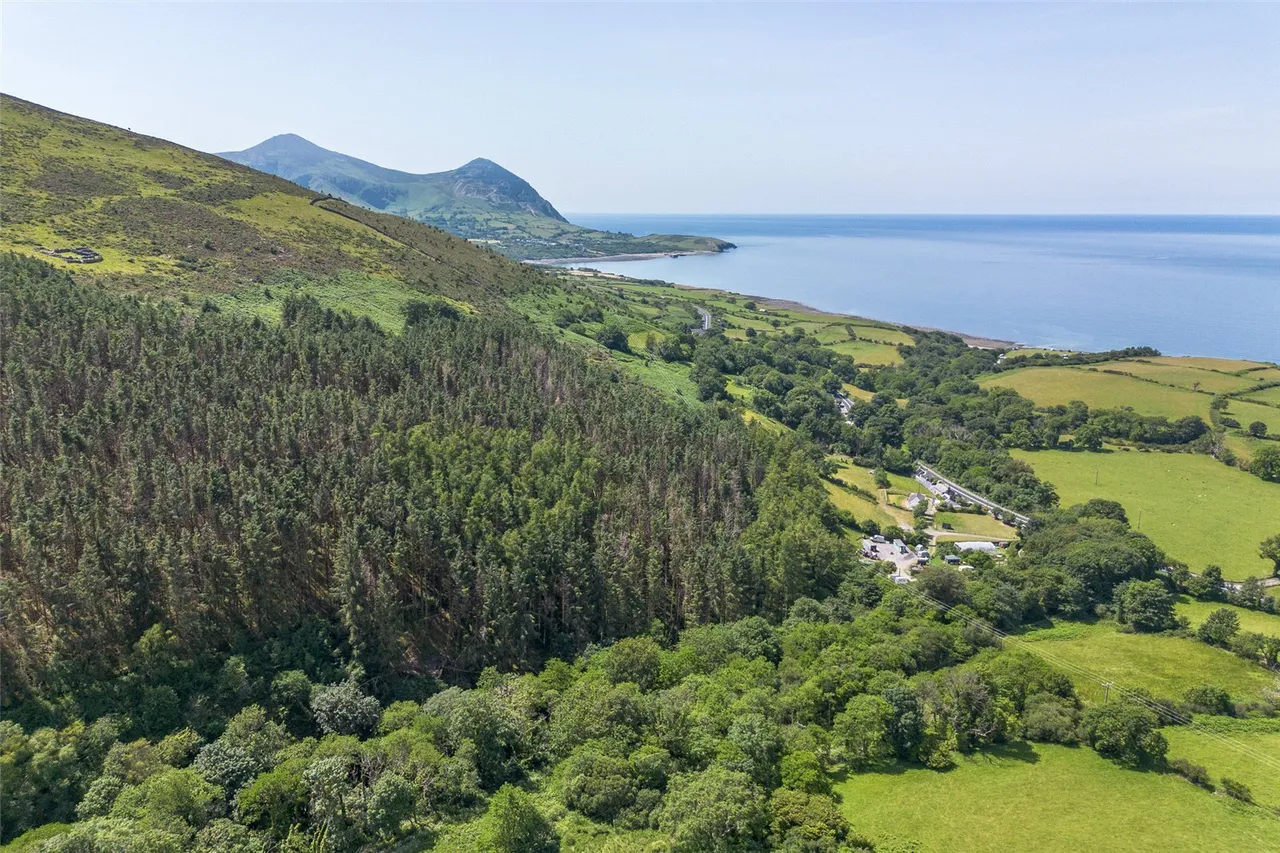 Gyrn Goch, Caernarfon, LL54, photo 45