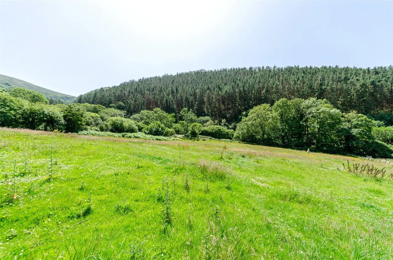 Gyrn Goch, Caernarfon, LL54, photo 27