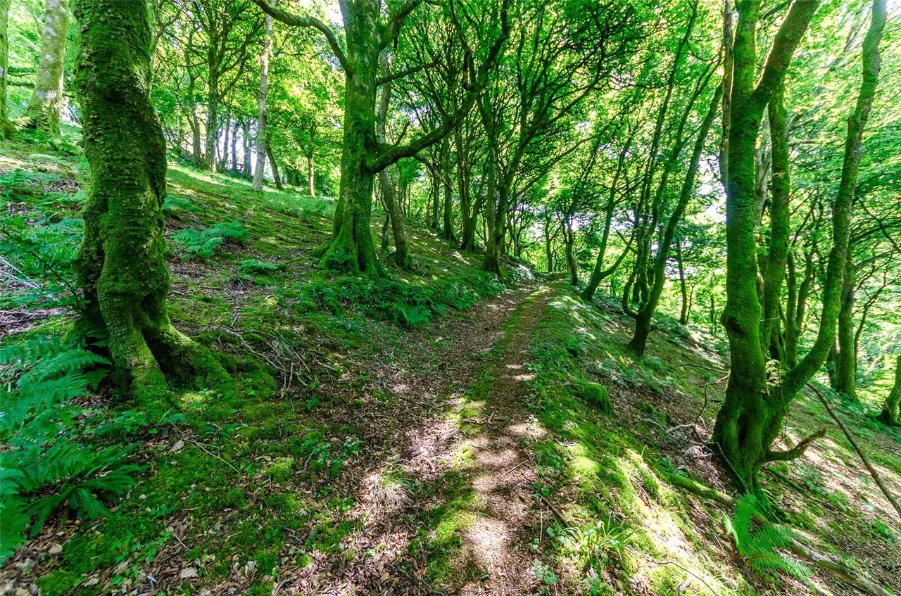 Gyrn Goch, Caernarfon, LL54, photo 54