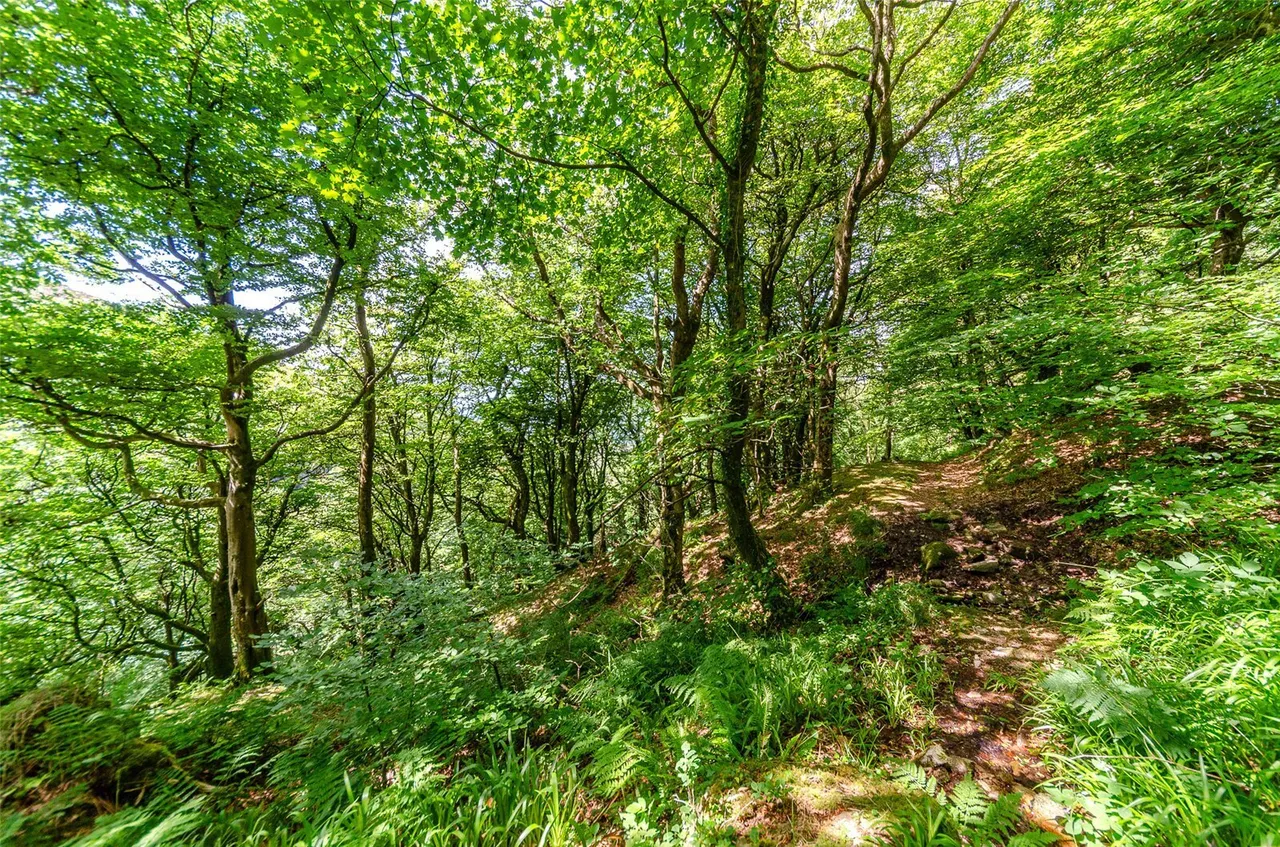 Gyrn Goch, Caernarfon, LL54, photo 55