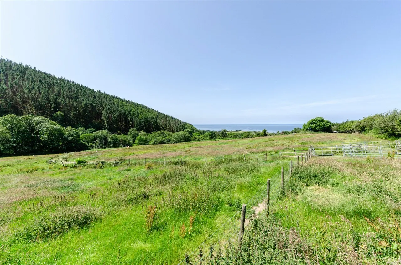Gyrn Goch, Caernarfon, LL54, photo 25