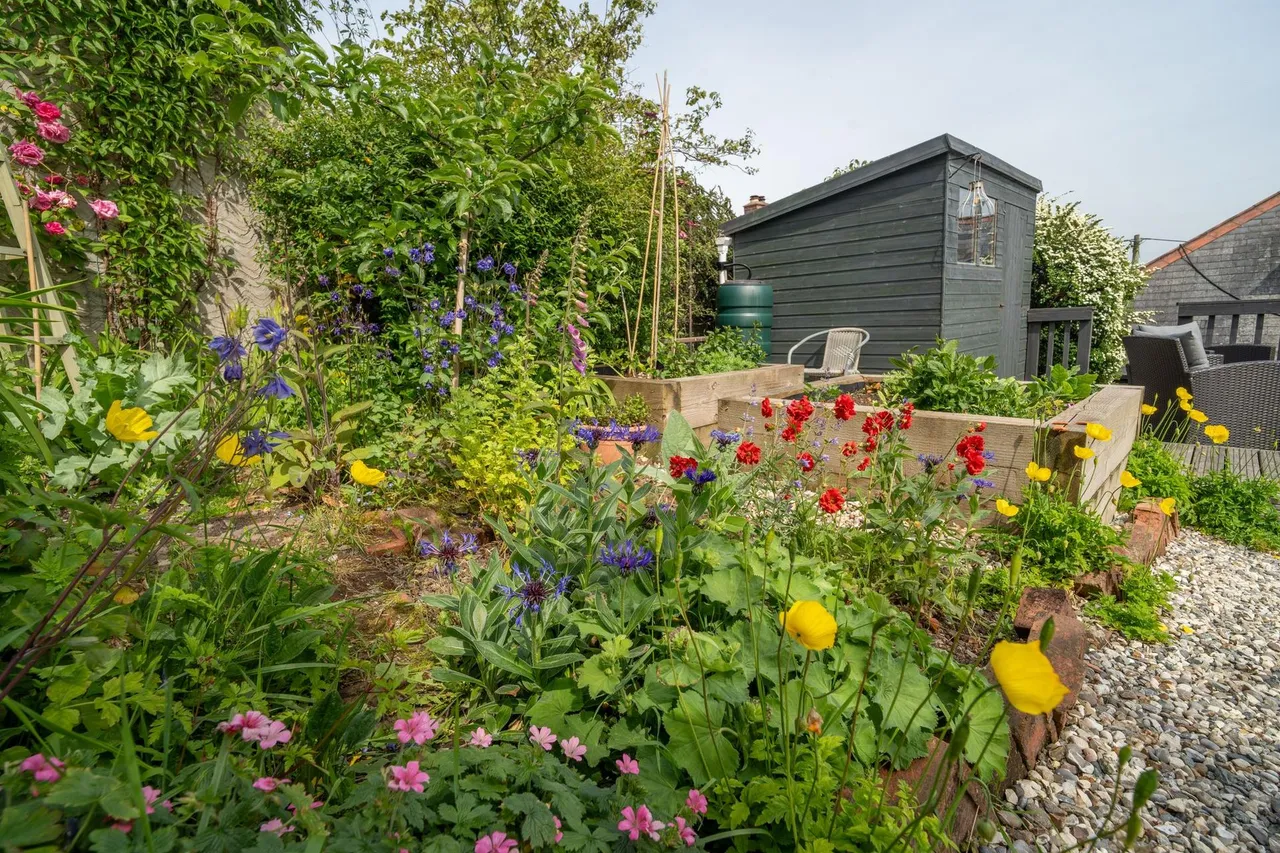 Brynowen Lane, Borth, SY24, photo 37