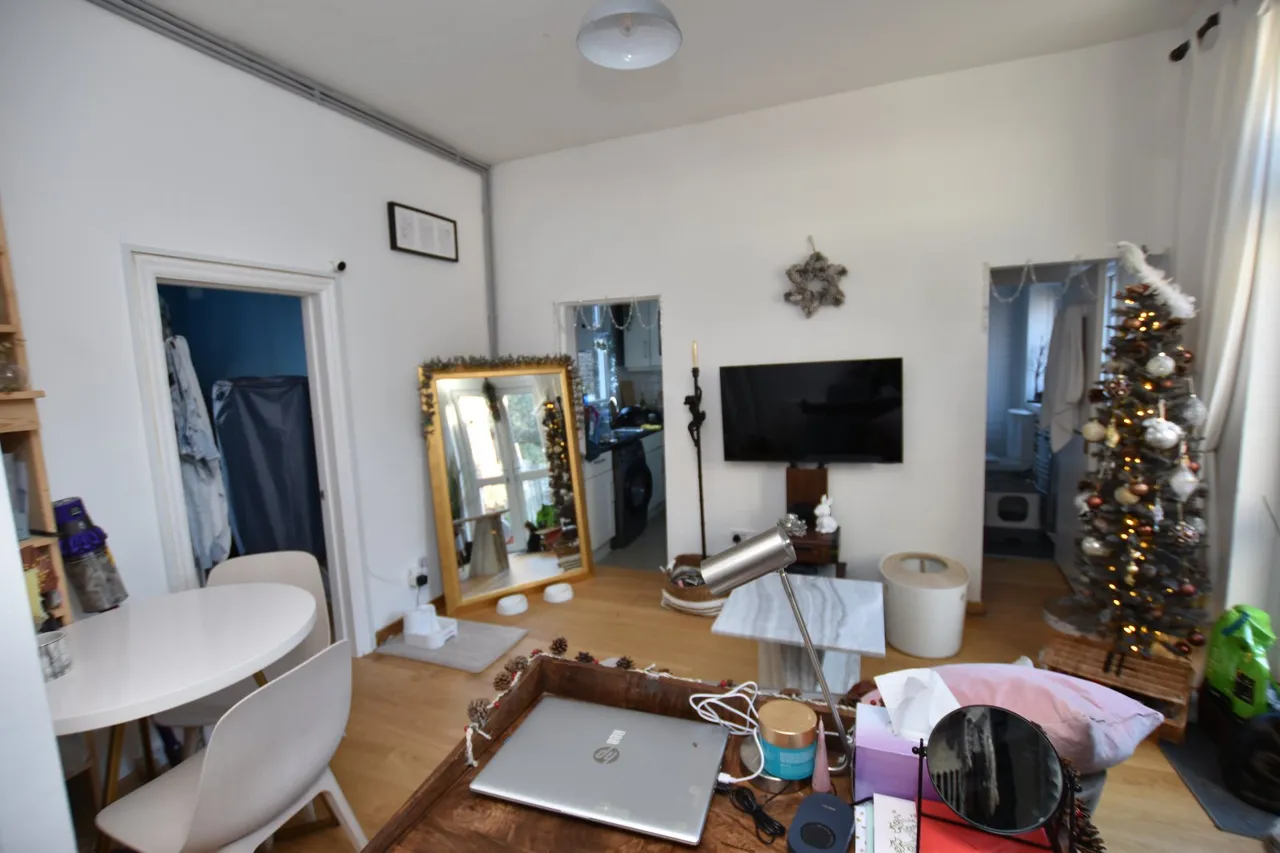 Selby Road, London, SE20, photo 9