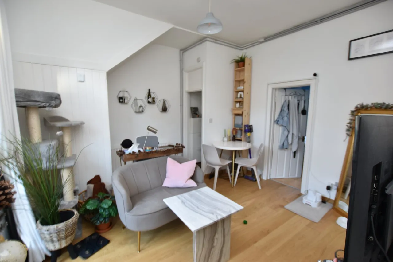 Selby Road, London, SE20, photo 10